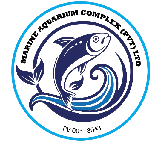 Marine Aquarium Complex